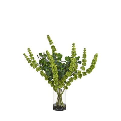 Bells of Ireland & Oriental Ficus in Rowan Vase - 254022