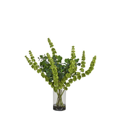 Bells of Ireland and Oriental Ficus in Rowan Vase