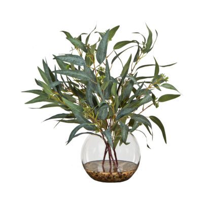 Eucalyptus in Glass Bubble Bowl - 254029