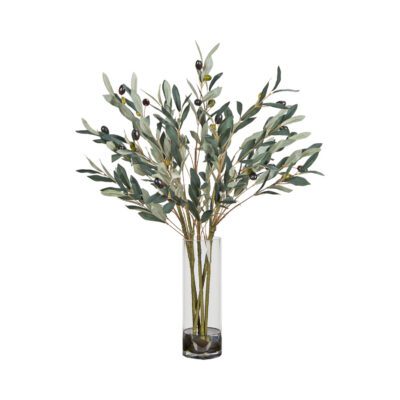 Fruited Olive Spray in Glass Vase - 254032