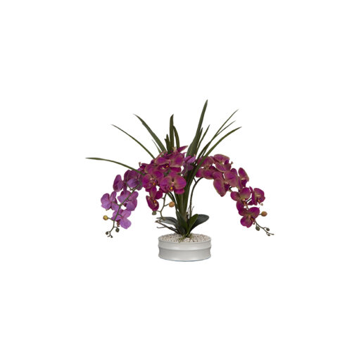 Lavender Phael Orchids in Matte White Bowl