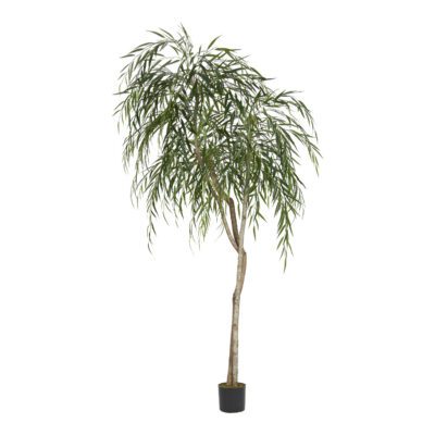 Weeping Willow in Nursery Pot  8' - 325401-NP