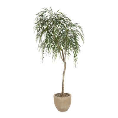 Weeping Willow in Grove Planter 8' - 325401