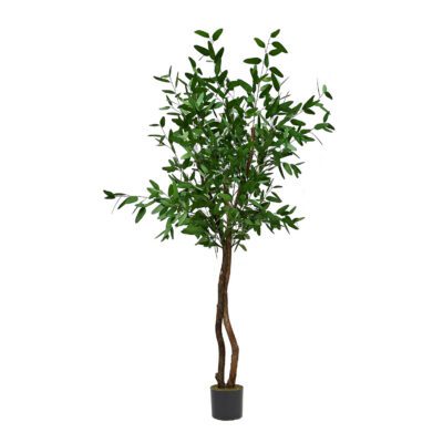 Blue Eucalyptus Tree in Nursery Pot 8' - 325403-NP