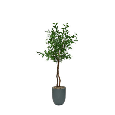 Blue Eucalyptus in Campbell Planter
