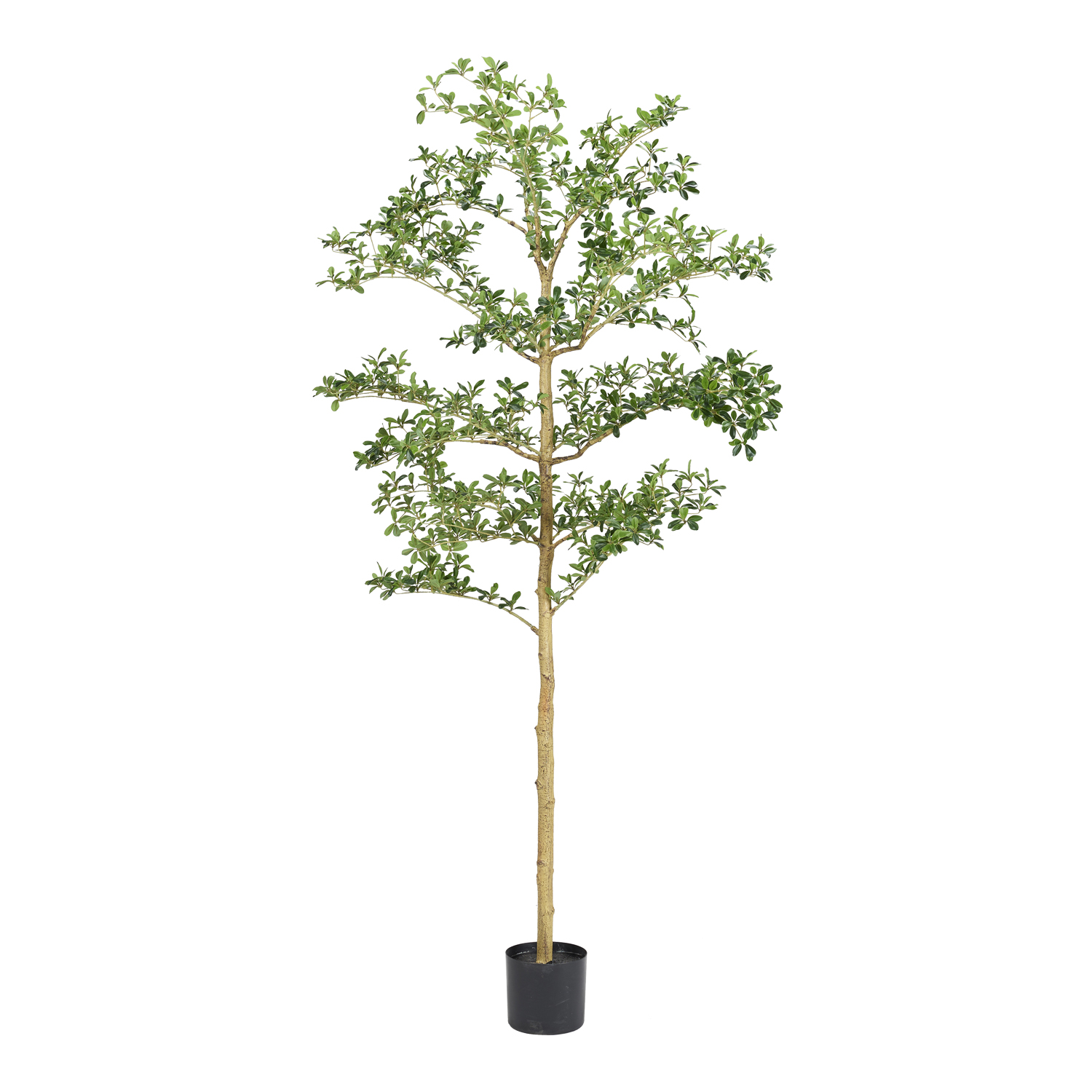 Shady Lady Tree 7' - TL1046