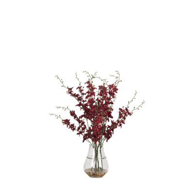 Red Dancing Orchids in Glass Vase - 7255003