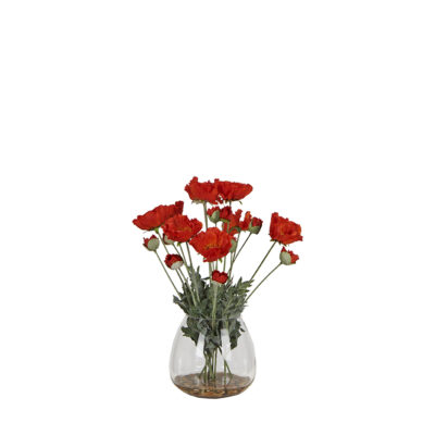 Poppies in Round Glass Vase - 7255023