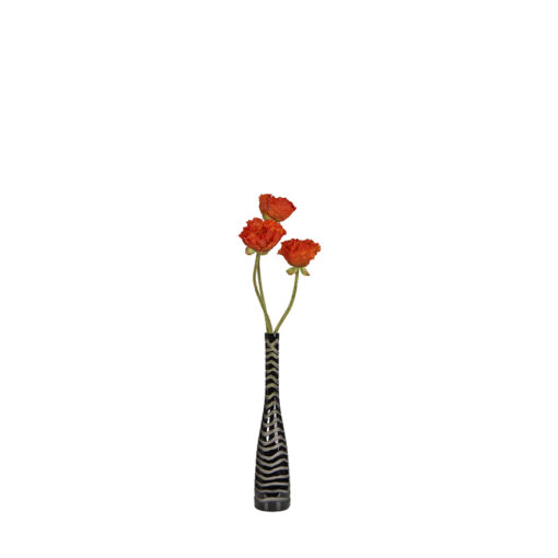 Poppies in Tall Vase with Stripes - 7255033