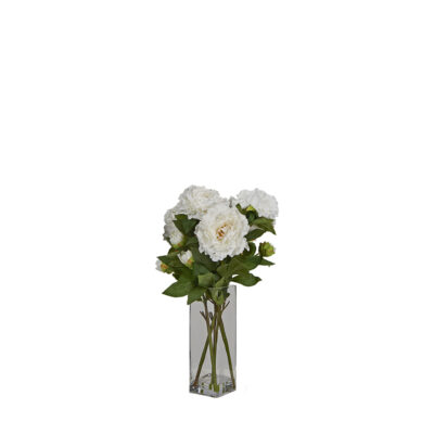 White Peonies in Rectangle Glass Vase - 7255018