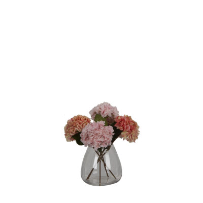 Pink/Salmon Hydrangeas in Glass Vase - 7255020