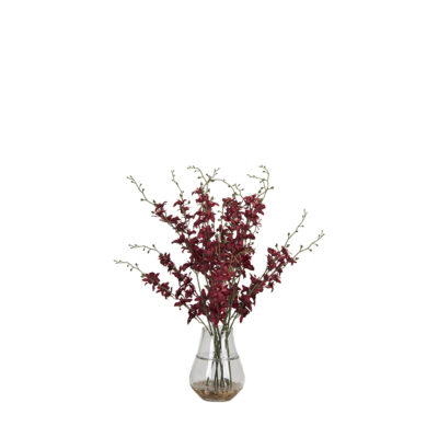 Red Dancing Orchid in Glass Vase - 7255003