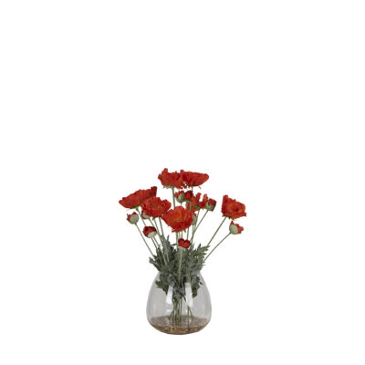 Poppies in Round Glass Vase - 7255023