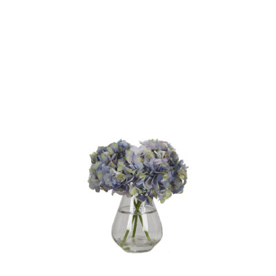 Blue/Cream Hydrangeas in Glass Vase - 7255022