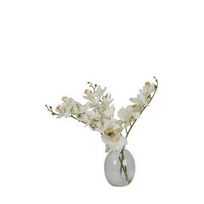 White Orchids in Round Half-Tinted Glass Vase - 7255010