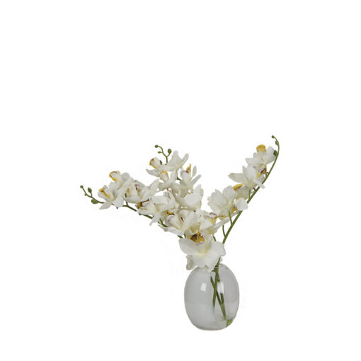White Orchids in Round Half-Tinted Glass Vase - 7255010