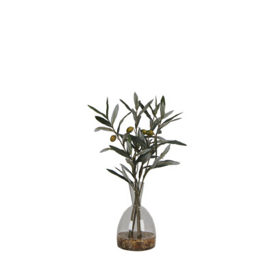 Fruited Olive Spray in Glass Vase - 7255019