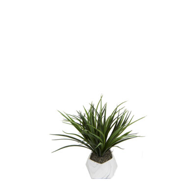 Grass in Ceramic Hexagon Planter - 7255015