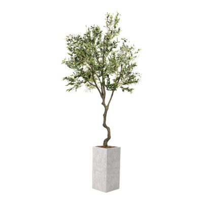 Large Olive Tree 9' - White Everette Planter - 1035-2777