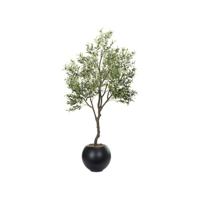 Olive Tree 9' - 1035 - Black, Porter Planter