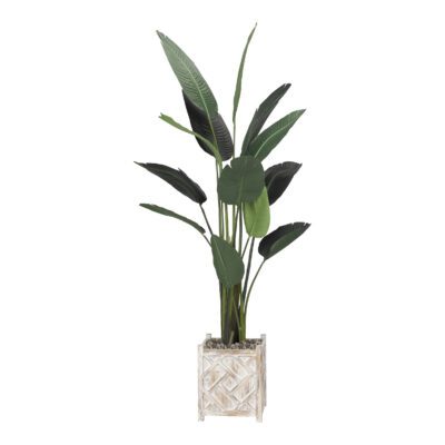 Medium Traveler Palm - Coastal Crate Planter - 319116