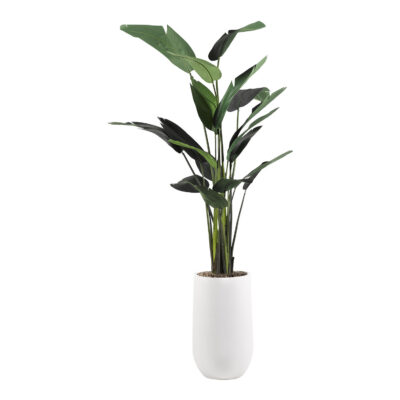 Large Traveler Palm - Quinn Planter - 319401