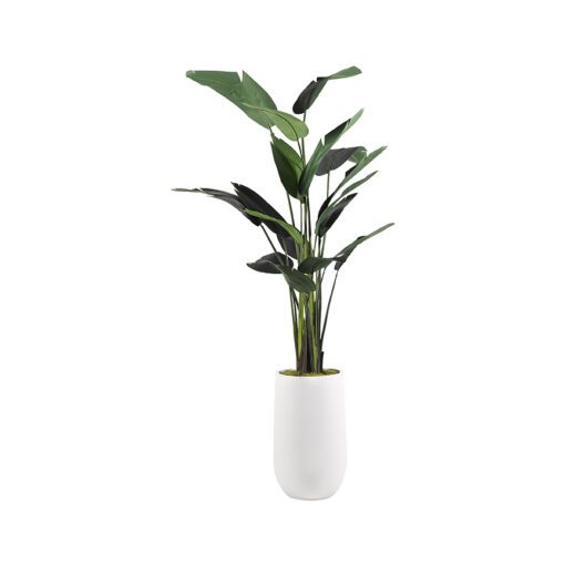 Traveler Palm 8.5' - 728-3101 - Image 4