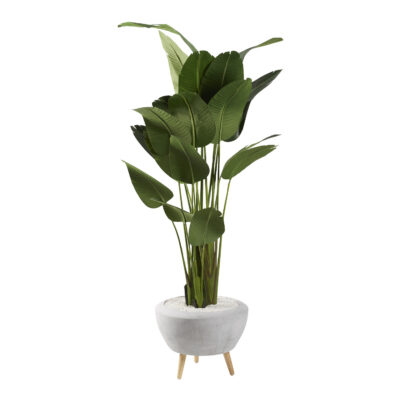 Large Traveler Palm - Triad Planter - 321230