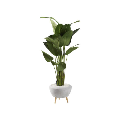 Traveler Palm 8.5' - 728-3101 - Image 3