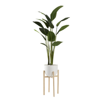 Medium Traveler Palm - Catalina Planter - 321231