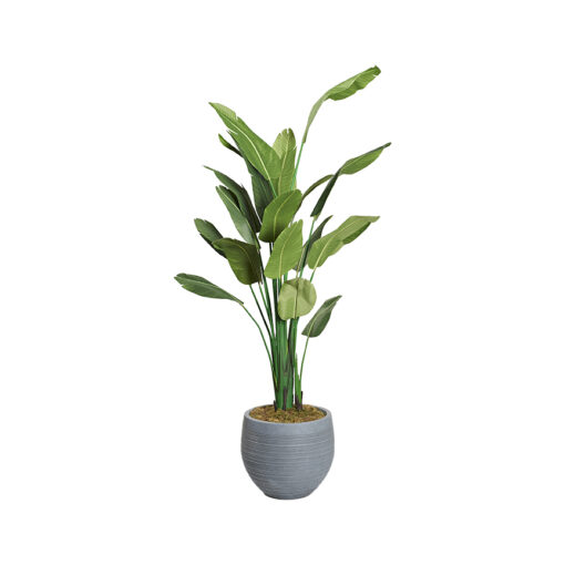 Traveler Palm 8.5' - 728-3101 - Image 7