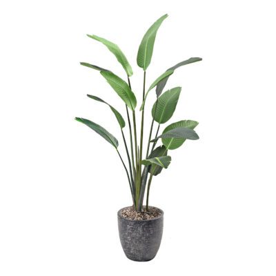 Medium Traveler Palm - Hudson Planter - 321887