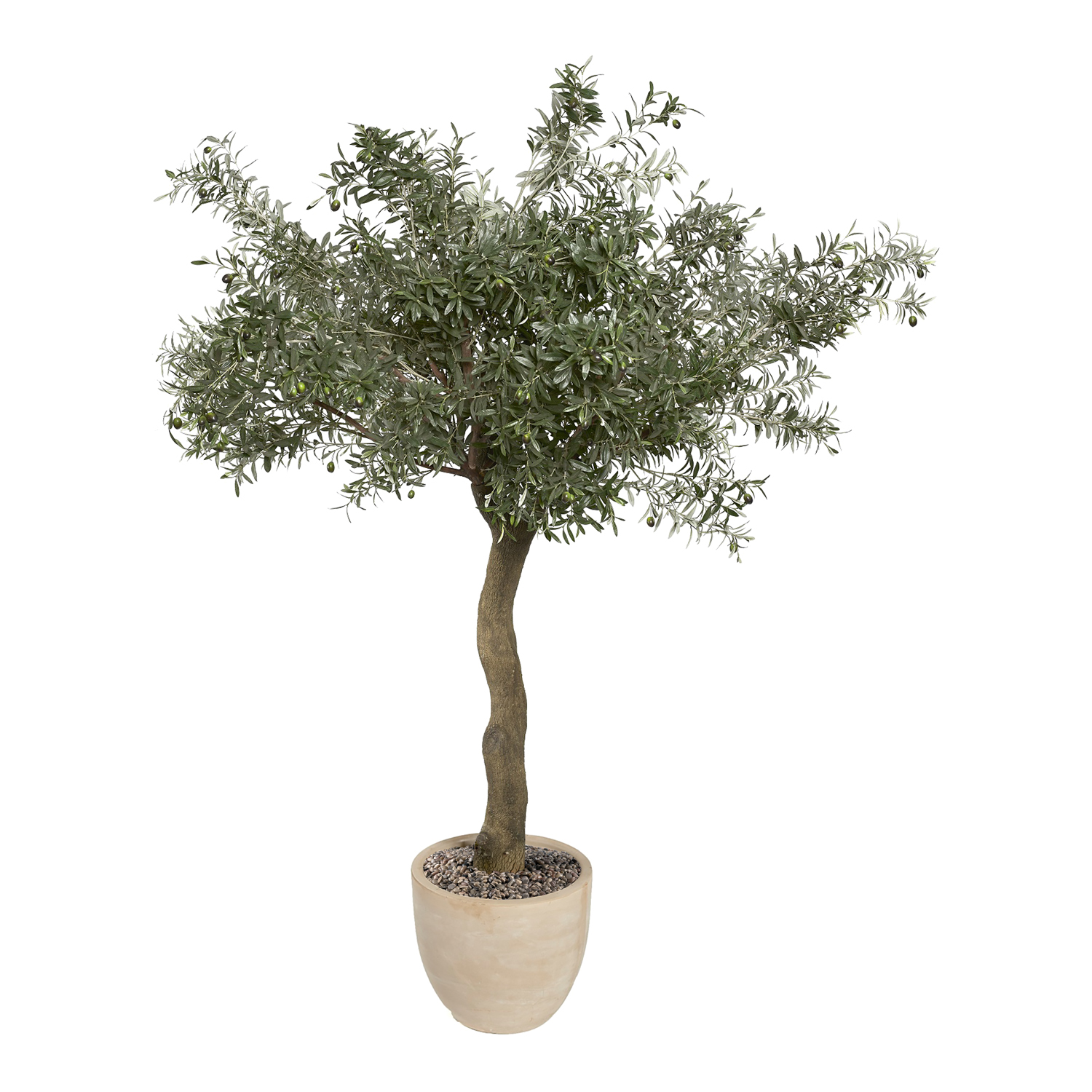 Weathered Olive Tree|D&W Silks