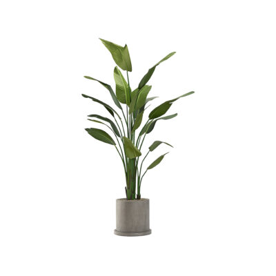 Traveler Palm 8' - 728 - Marta Planter