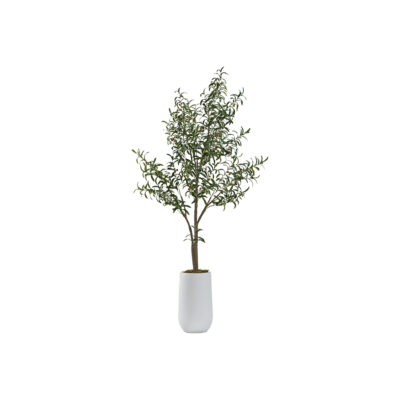 Olive Tree 6' - 984 - Quinn Planter