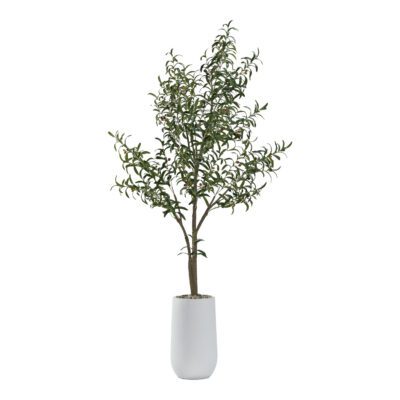 Small Olive Tree - Quinn Planter - 322907
