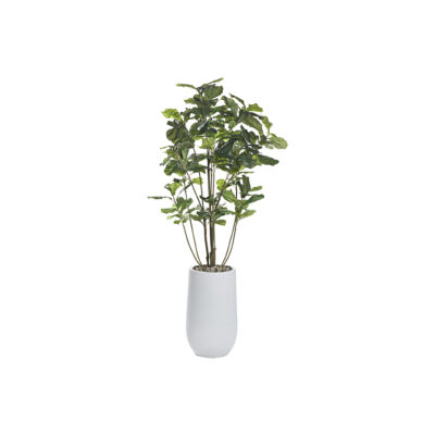 Fiddle Leaf Fig Plant 5' - 316908 - Quinn Planter