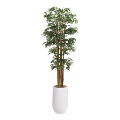 Bamboo in Quinn Planter 9' - 324965