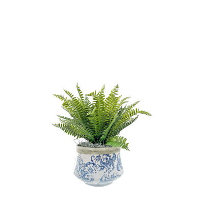 Boston Fern in Vintage Ceramic Vase - 7256004
