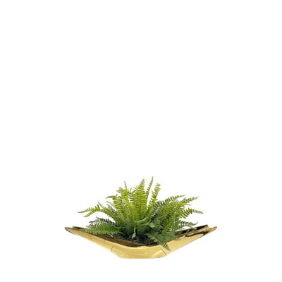 Boston Fern in Gold Boat Planter - 7256009