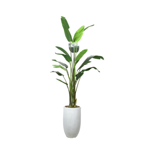 Traveler Palm 8.5' - 728-3101 - Image 10