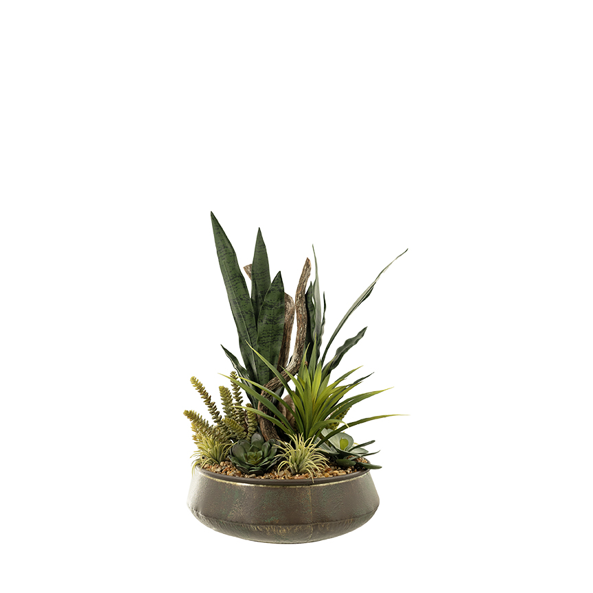 Sansevieria & Assorted Succulents in Virtu Planter - 257003