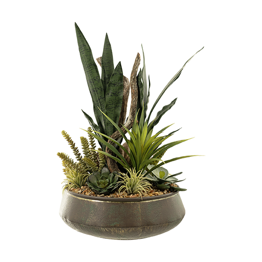 Sansevieria & Assorted Succulents in Virtu Planter - 257003 - Image 2