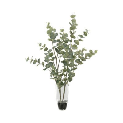 Eucalyptus in Aurora Vase - 257005