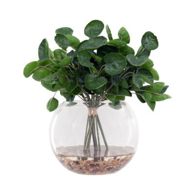 Eucalyptus in Aqua Orb Bowl - 257006