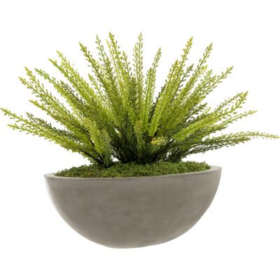 Heather Fern in Newport Bowl - 257009