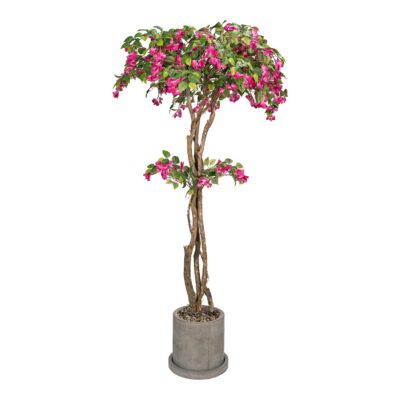 Small Bougainvillea Tree - Marta Planter - 316420-2994