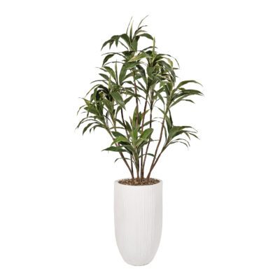 Cordyline in Nell Vase 8' - 325700