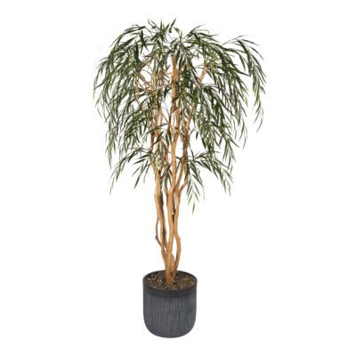 Weeping Willow in Maude Planter 8' - 325704