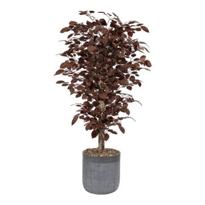 Red Beech Leaf in Maude Planter - 325706